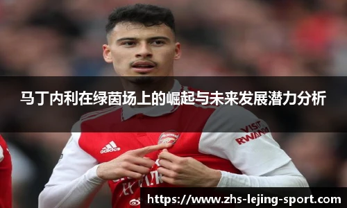 马丁内利在绿茵场上的崛起与未来发展潜力分析